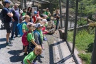 Jugendausflug in den Tierpark Goldau